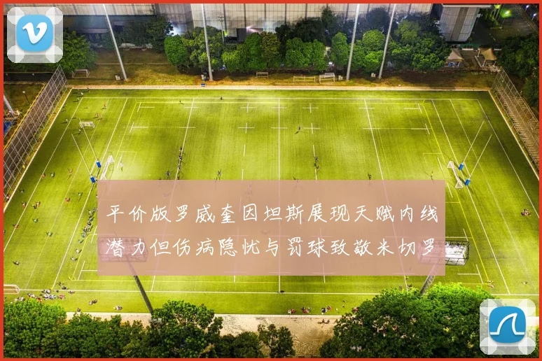 平价版罗威奎因坦斯展现天赋内线潜力但伤病隐忧与罚球致敬米切罗