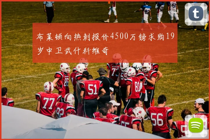 布莱顿向热刺报价4500万镑求购19岁中卫武什科维奇